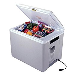 Best Cooler for Truckers Review - Big 